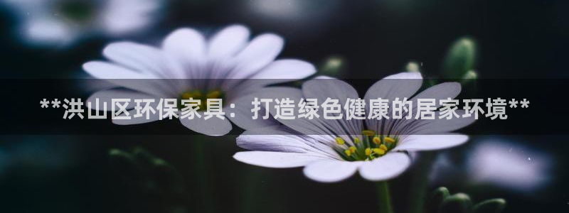 杏耀代理连接