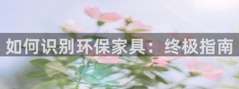 杏耀平台代理怎么赚钱的