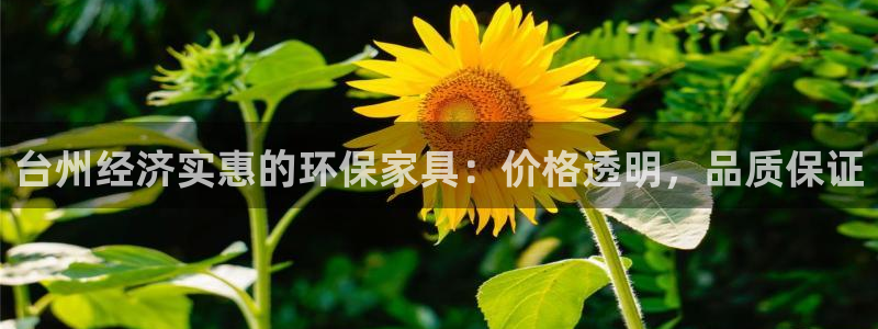 杏耀代理主管qq