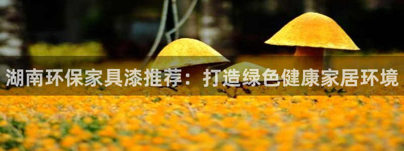 杏耀开户app下载