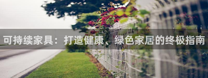 杏耀软件