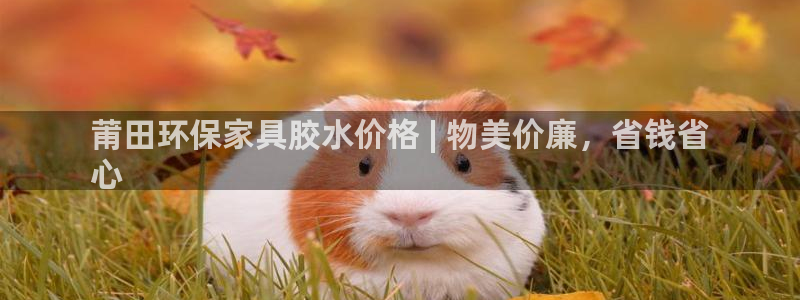 杏耀官网网站中心