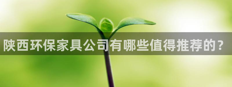 杏耀平台的专用通道