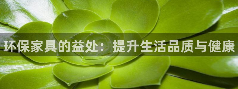 杏耀代理连接