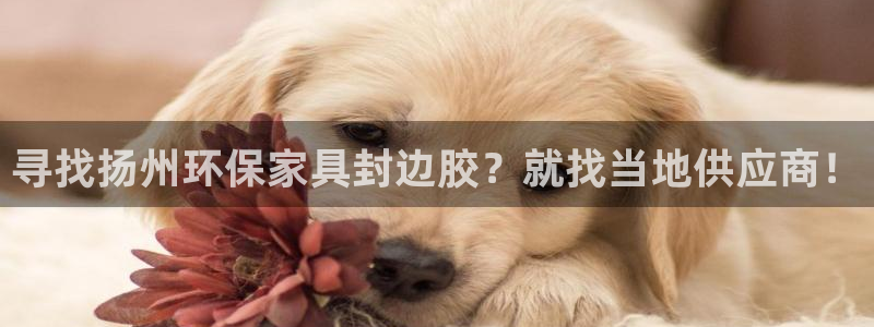 杏耀平台下载