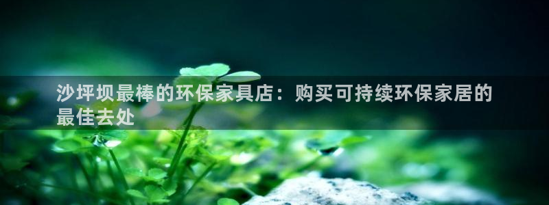 杏耀平台登录首页：沙坪坝最棒的环保家具店：购买可持续环保家居