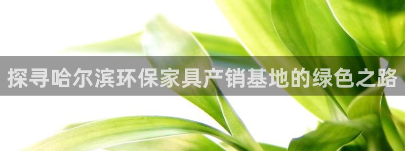 杏耀平台测速登录：探寻哈尔滨环保家具产销基地的绿色之路