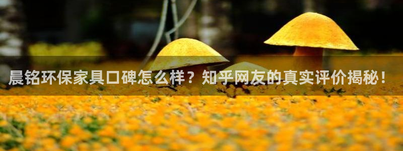杏耀平台网站是什么：晨铭环保家具口碑怎么样？知乎网友的真实评