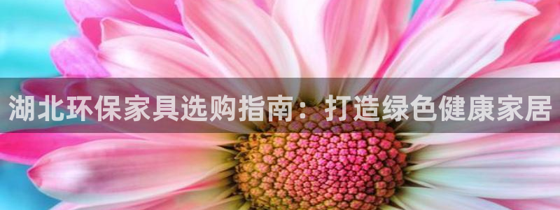 杏耀平台主管：湖北环保家具选购指南：打造绿色健康家居