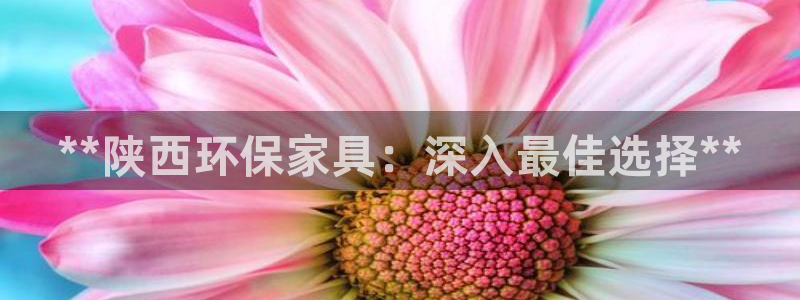 杏耀平台首页登录：**陕西环保家具：深入最佳选择**