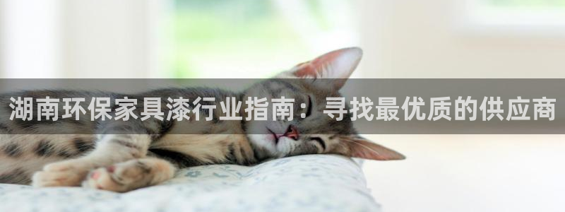 杏耀代理注册中心：湖南环保家具漆行业指南：寻找最优质的供应商