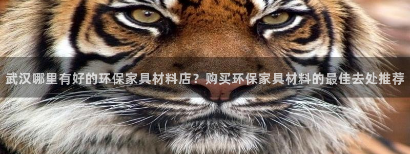 杏耀平台首页