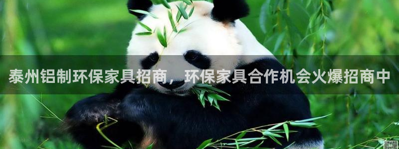 杏耀手机客户端：泰州铝制环保家具招商，环保家具合作机会火爆招
