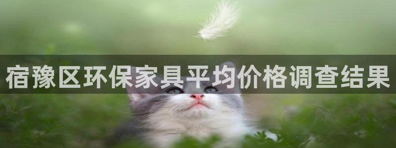 杏耀平台网站是什么：宿豫区环保家具平均价格调查结果